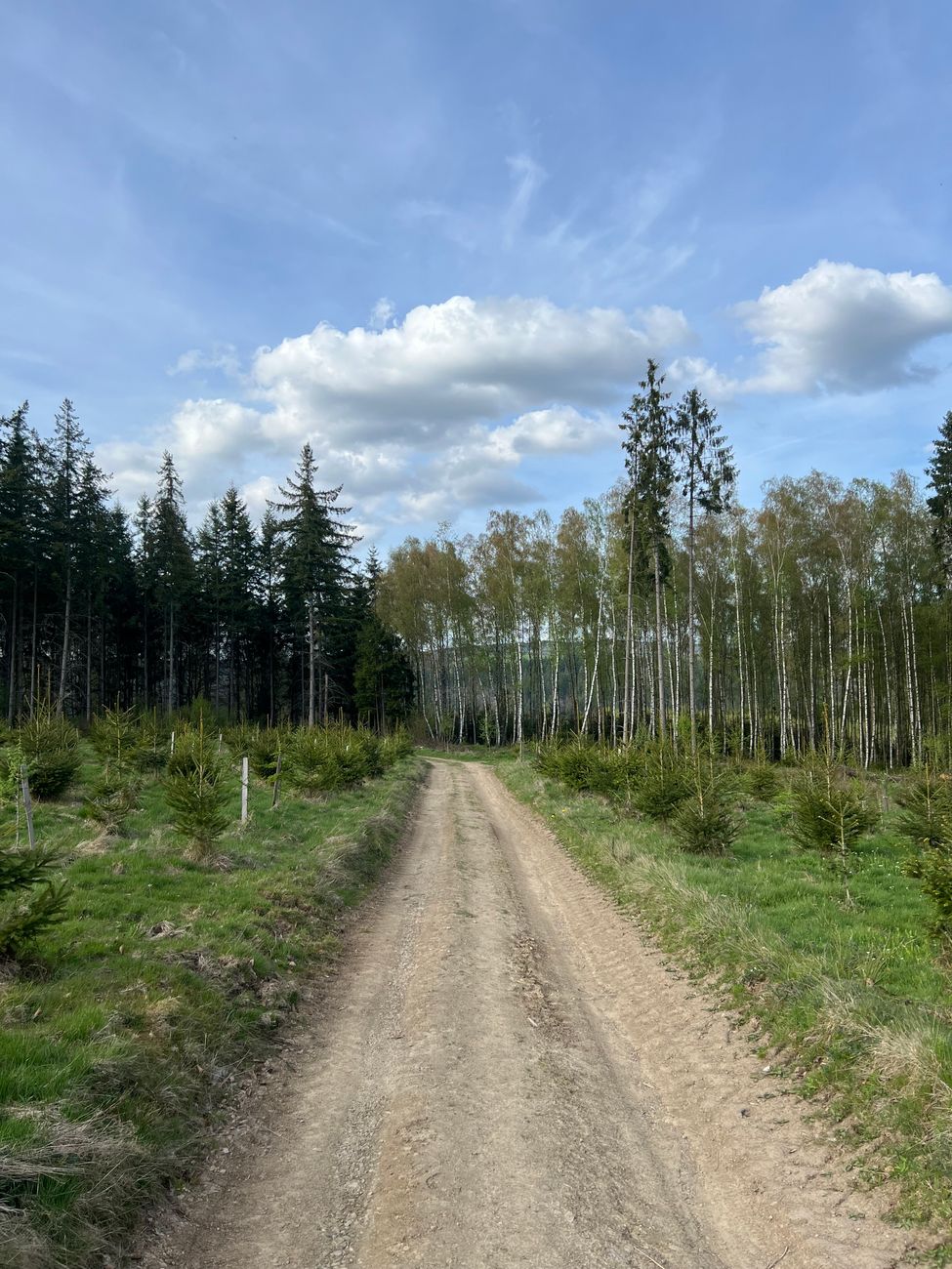 Hut en wandelpad in de mistige heuvels van de Ardennen